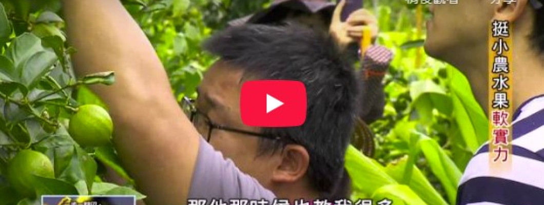 挺小農水果軟實力 TVBS 一步一腳印 20151025 (2-4)