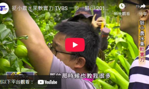 挺小農水果軟實力 TVBS 一步一腳印 20151025 (2-4)
